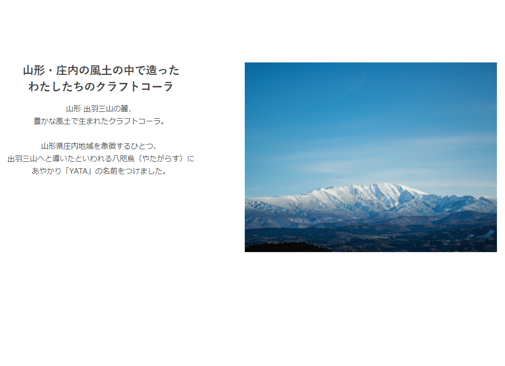 【お得 業務用】YATA COLA ヤタコーラ  450ml袋 山形 濃縮タイプ-7