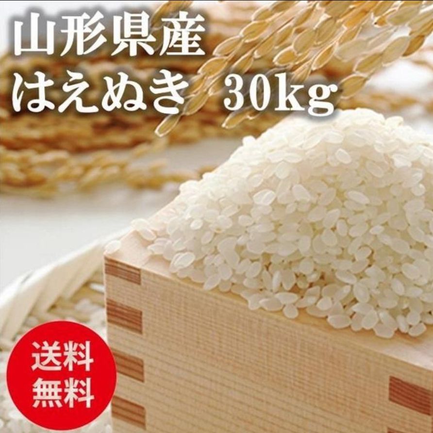令和7年度産 山形県産米 はえぬき 30ｋｇ 玄米