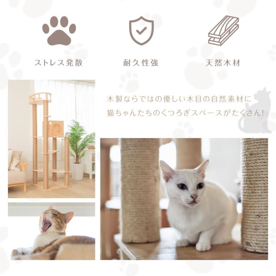 安定性抜群