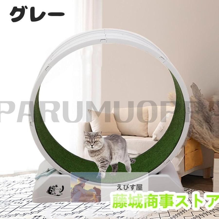 静音低ノイズ 猫