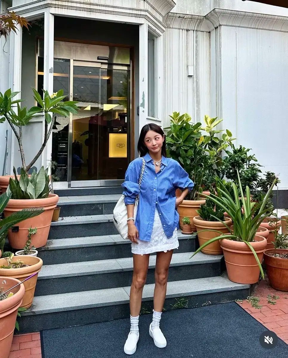 ブレスド17 Standard Shirt stripe ストライプシャツ