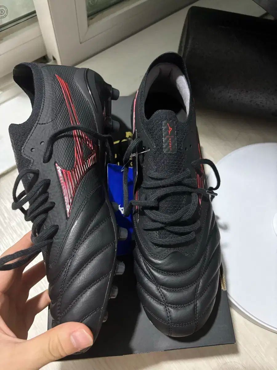 ベータ ジャパン