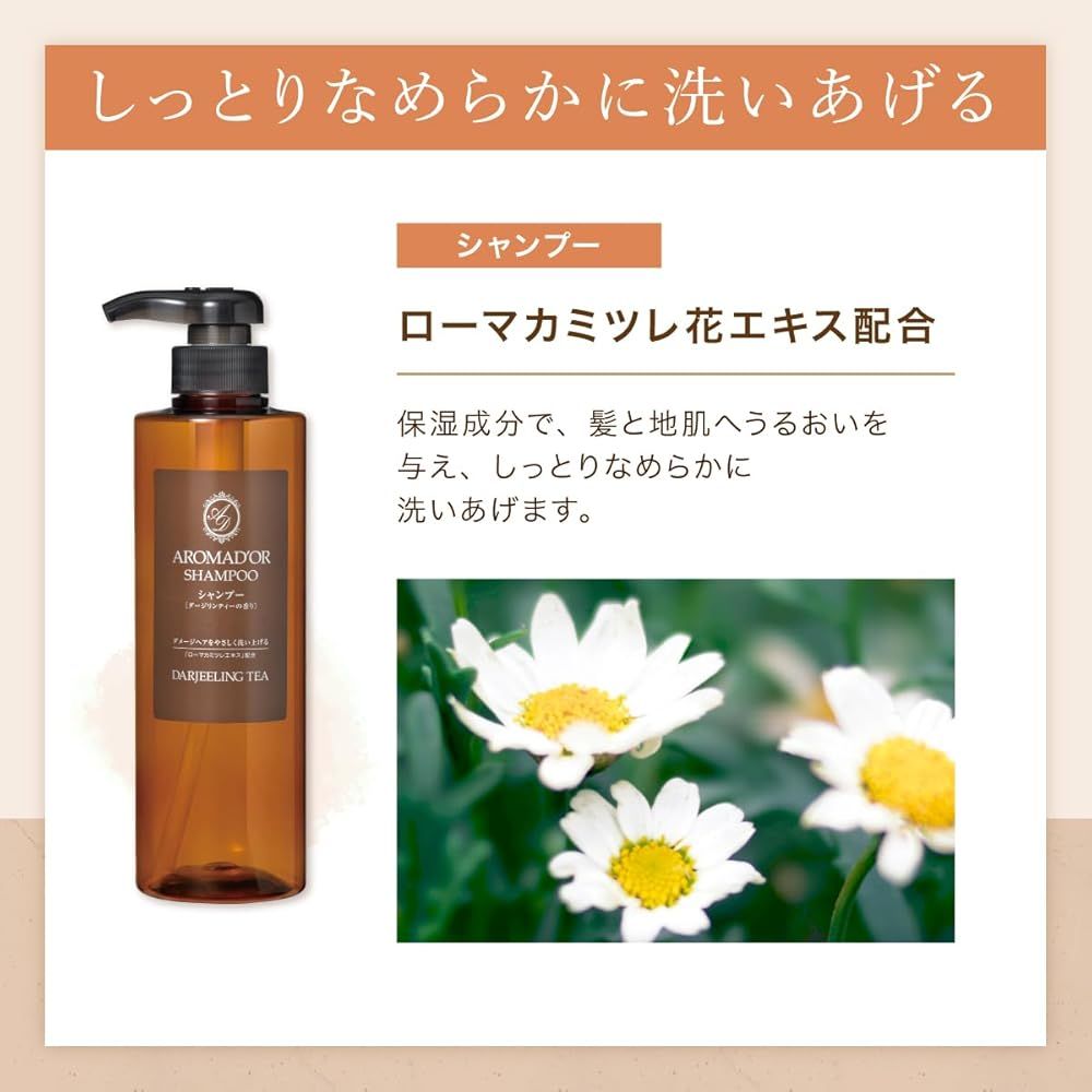 1個 シャンプーボトルは付属しません