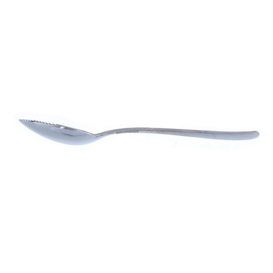 〓儀(Takagi) 18-0 ライラック フルーツスプーン 10本組 まとめ買い 業務用 食洗器対応 カトラリー シルバー スプーン 鋸歯状 デザ