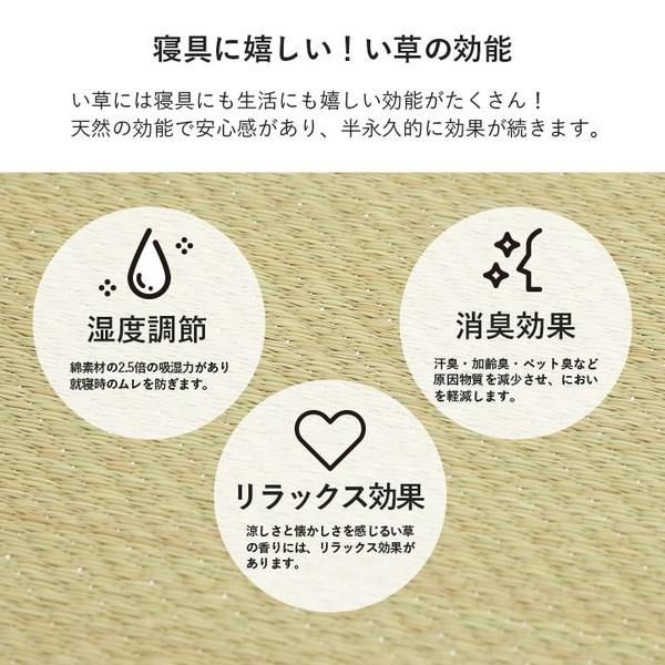 調湿効果 抗菌防臭