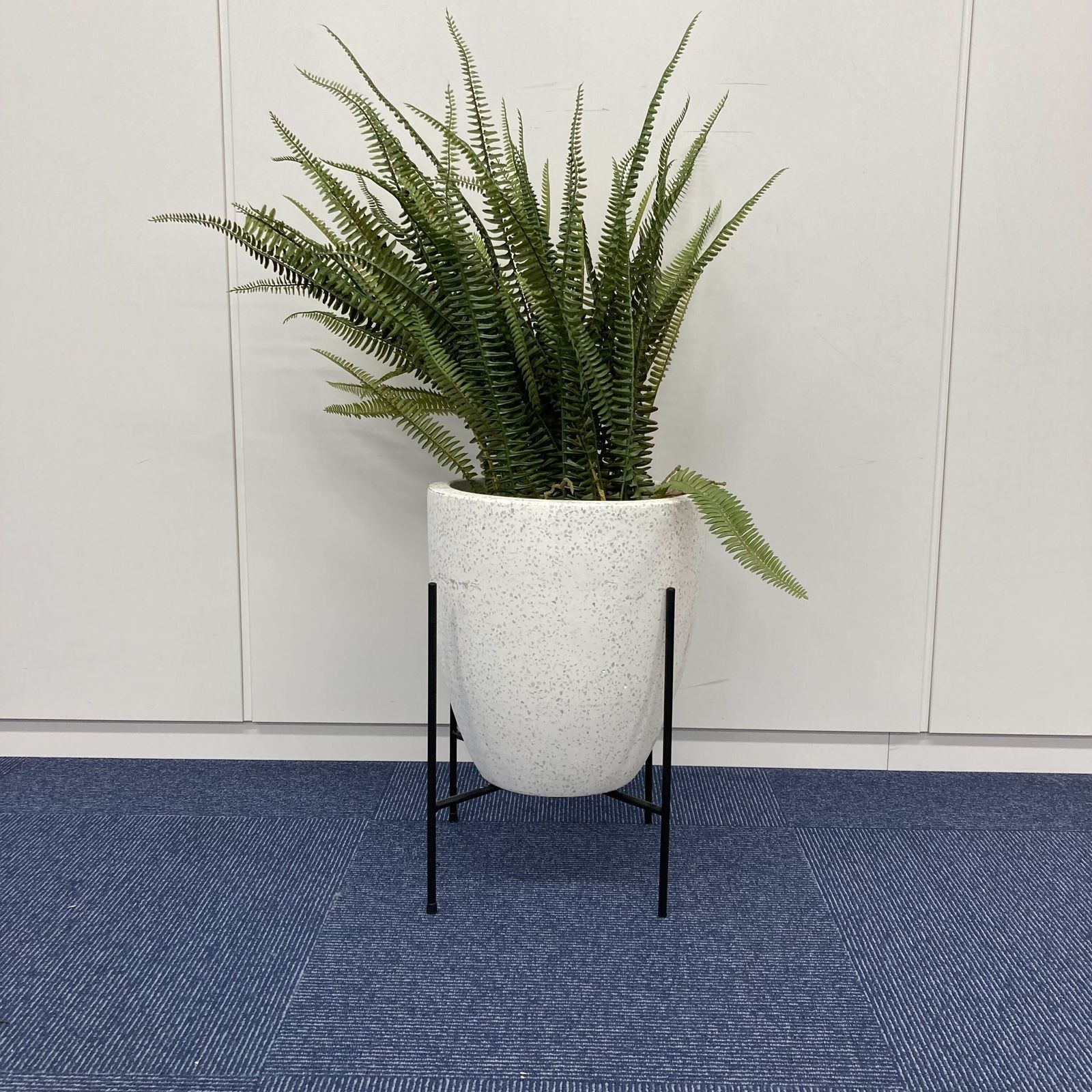 中古 A(中古品)】フェイクグリーン / 幅300mm 高さ900mm - メルカリ 