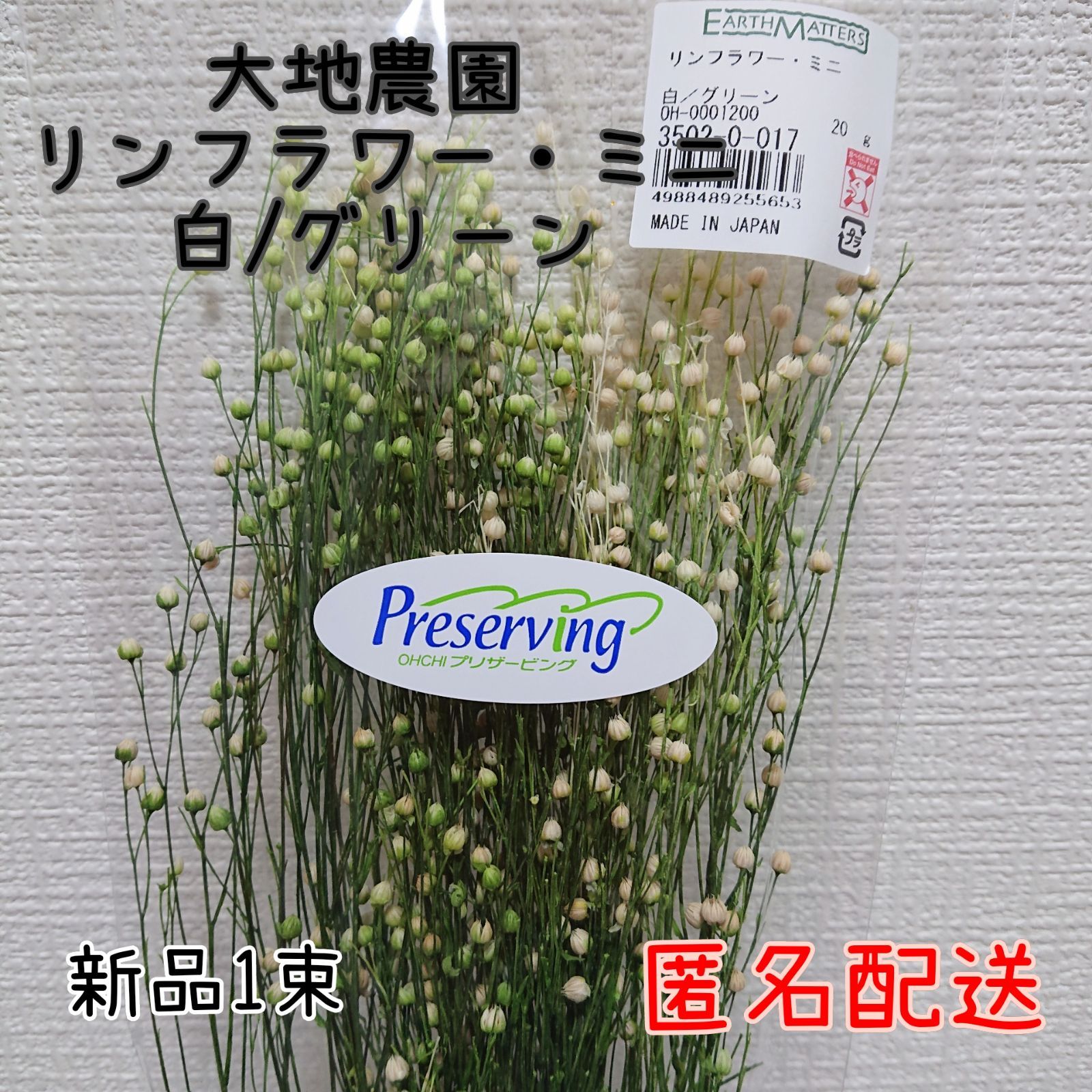 大地農園 リンフラワー・ミニ 白/グリーン 新品1束 - メルカリ