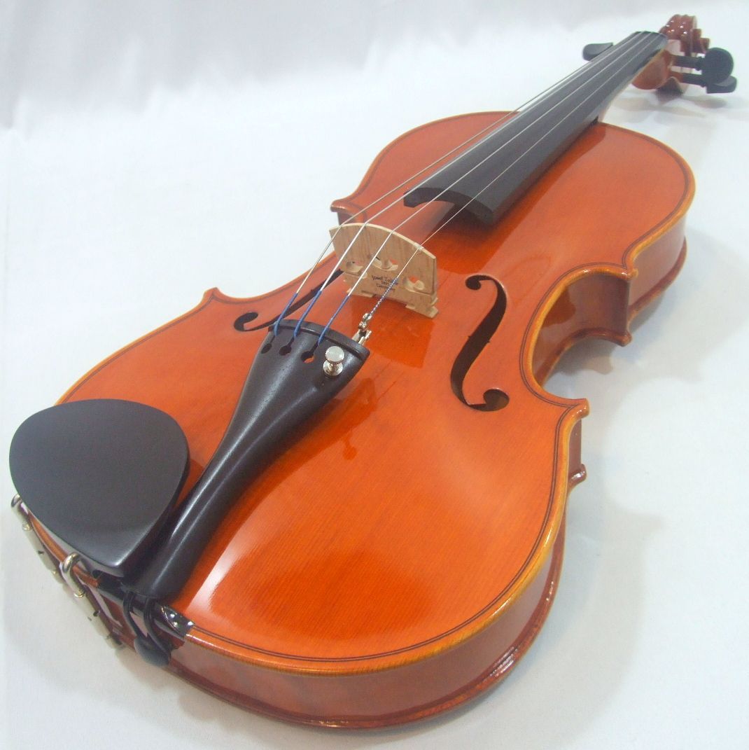 スズキバイオリン