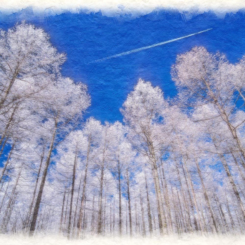 和紙の絵写真 「飛行機雲と見上げるカラマツの樹氷」 立体額縁付き