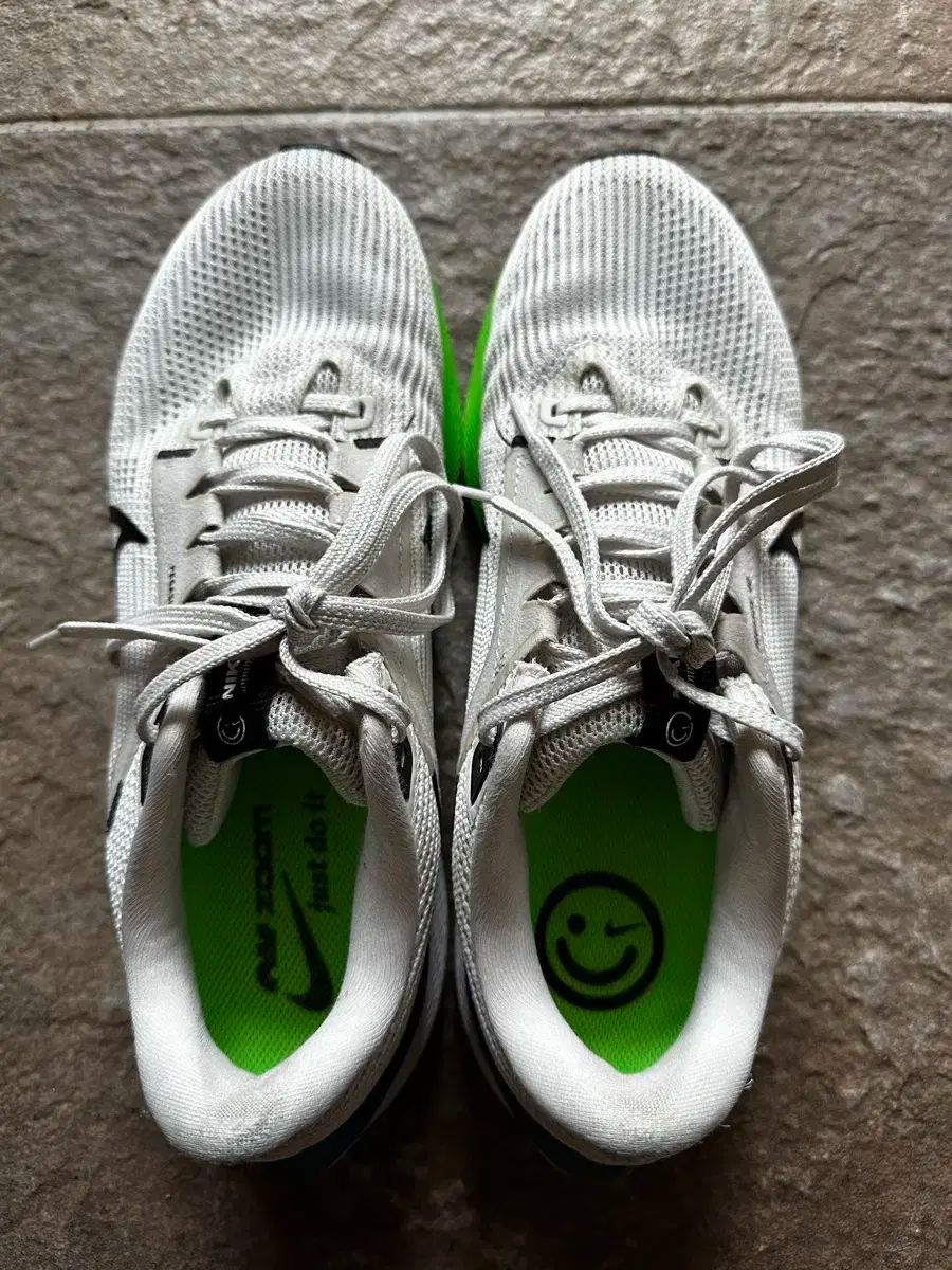 ナイキ ペガサス 40 ランニングシューズ 260