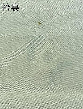 平和屋着物▽上質な紬　単衣　草花文　正絹　逸品　AAAZ0979jh 平和屋着物▽上質な紬 単衣 草花文 正絹 逸品 AAAZ0979jh - メルカリ