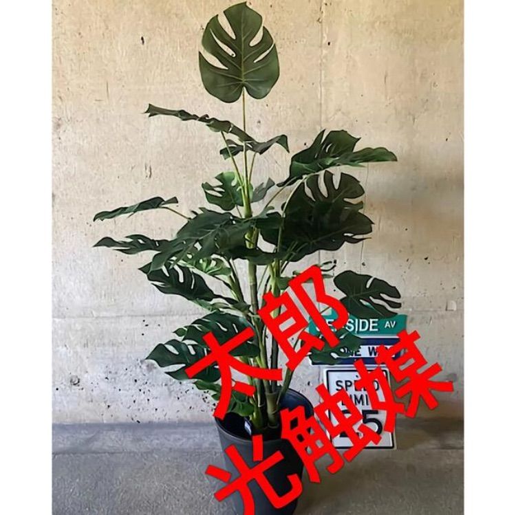 光触媒 人工観葉植物 ウォールグリーン フェイクグリーン モンステラ