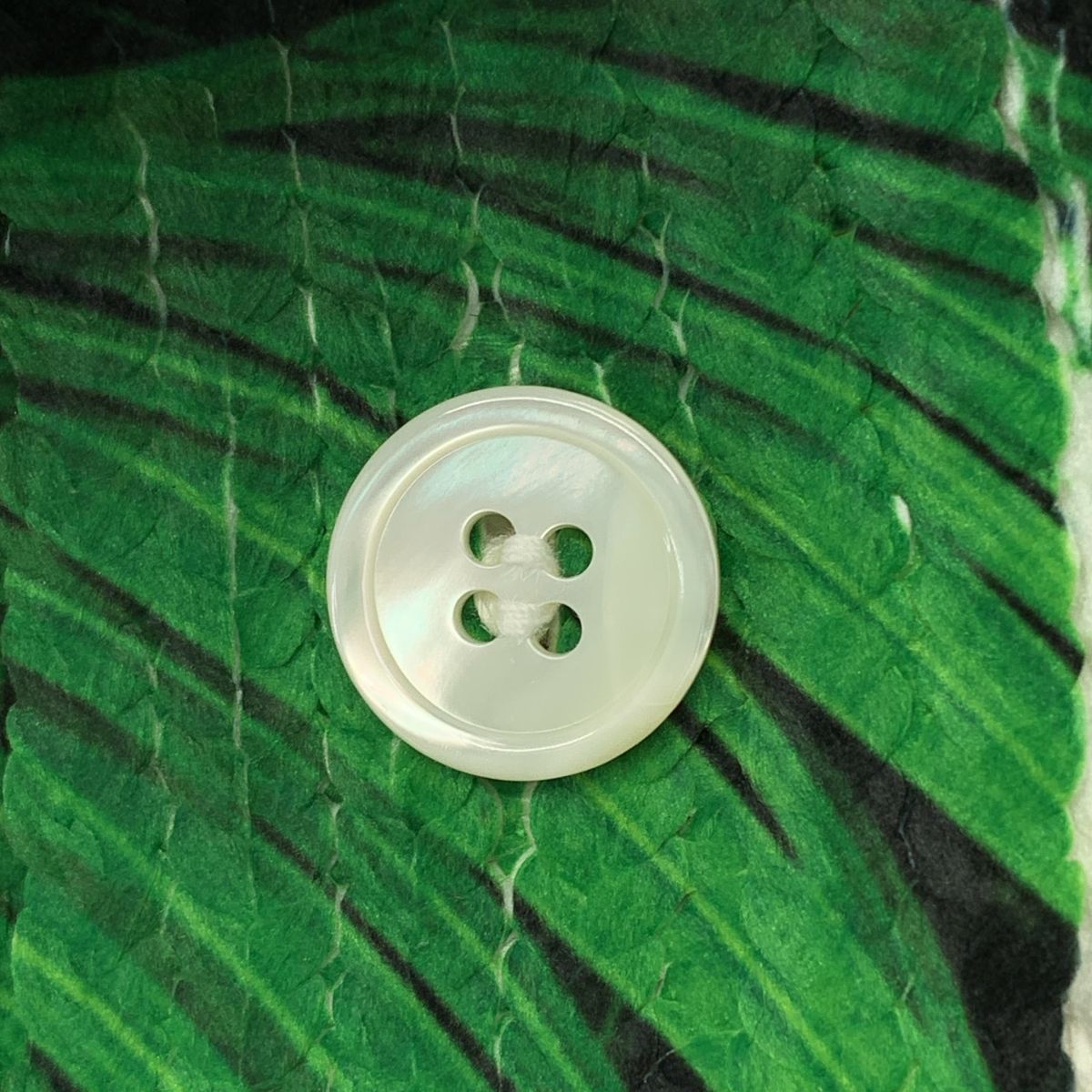 美品】 COMME des GARCONS HOMME PLUS / コムデギャルソンオムプリュス