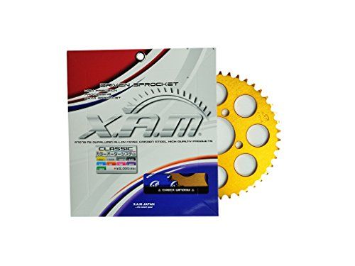 【新品・2営業日で発送】XAMジャパン XAM CLASSIC A2101-41T