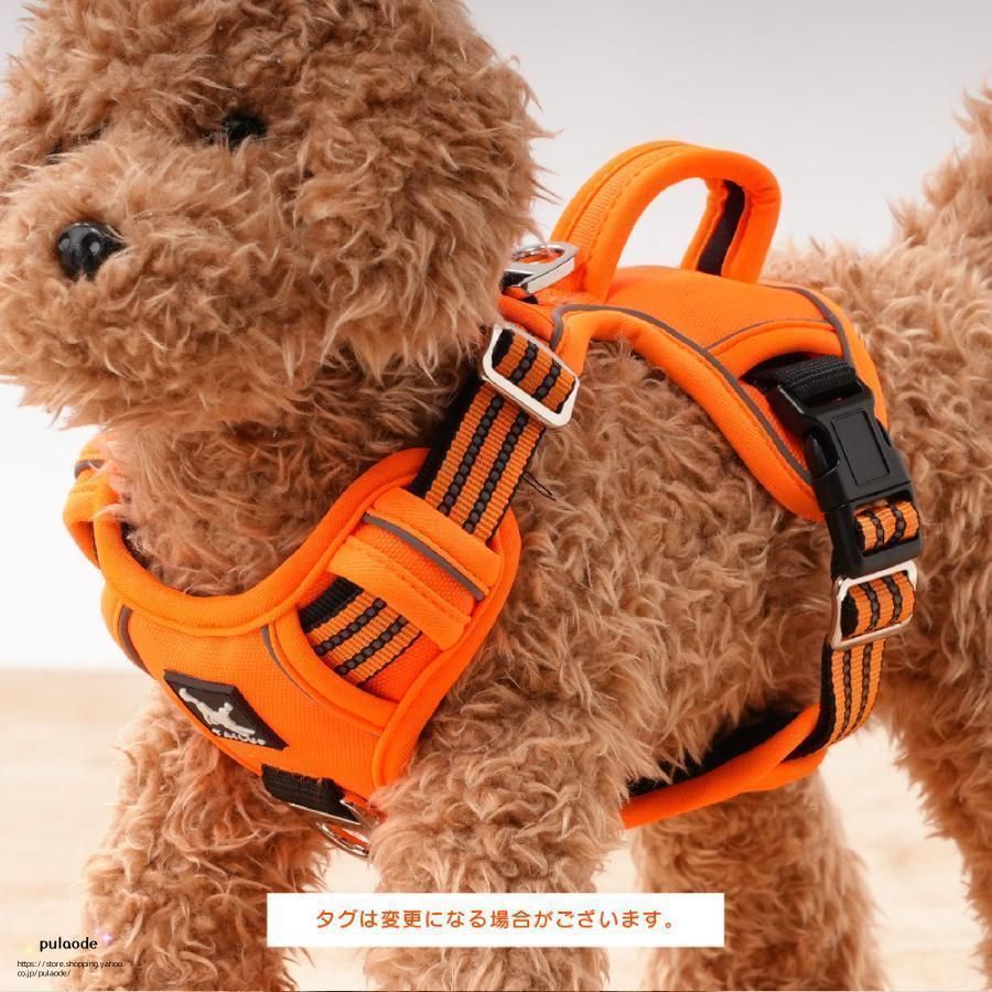 ペット用品 小型犬