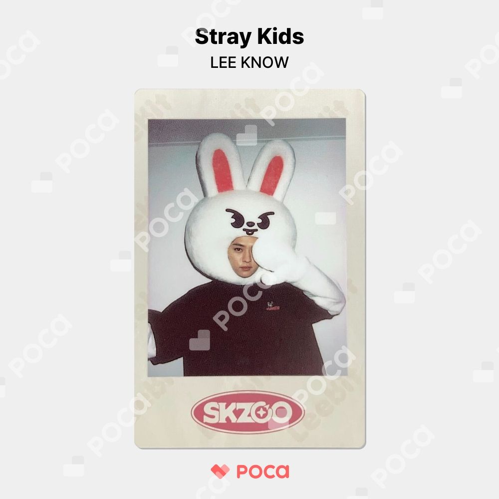 Stray Kids - straykids JYP skzoo トレカ リノ Stray Kids MAXIDENT SKZOO JYP 特典 スキズ リノ｜Yahoo!フリマ