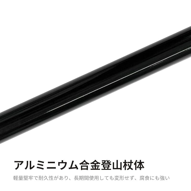 トレッキングポール