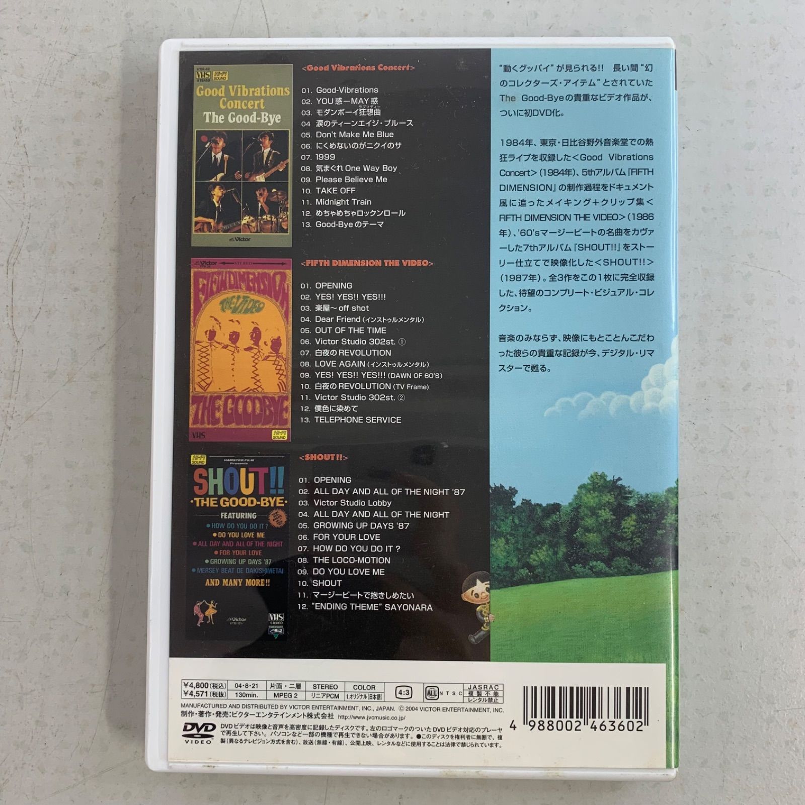 VIDEO! THE GOOD-BYE !!! ザ・グッバイ 野村義男 曽我泰久 DVD - メルカリ