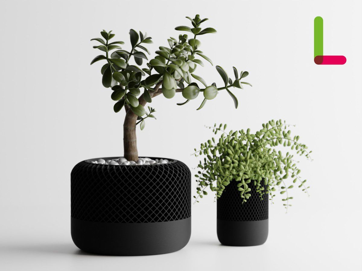 特大コンクリ鉢◇駐車場 会社 施設ドライガーデン南国アガベ ヤシ