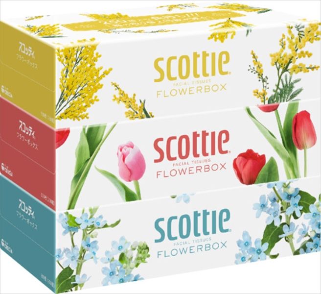 まとめ買い-18点セット ＳＣＴ ティシュー フラワーボックス ２５０組 ３箱パック 紙クレシア ティッシュ