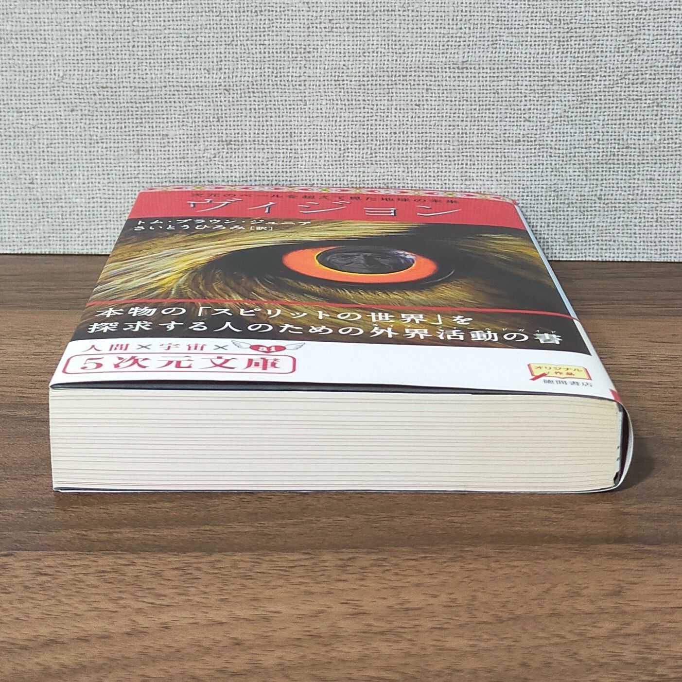 販促激安 ヴィジョン : 次元のベールを超えて見た地球の未来 | www