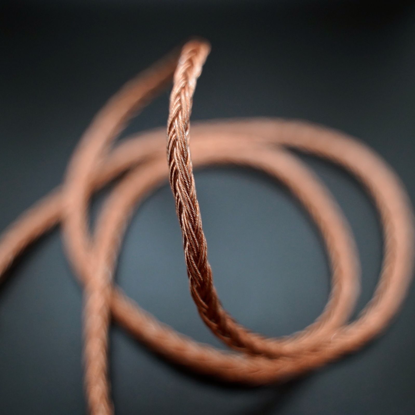 1点のみ】16コア 7N高純度単結晶銅 無メッキ C 本物 IEM 2Pin/4.4mm