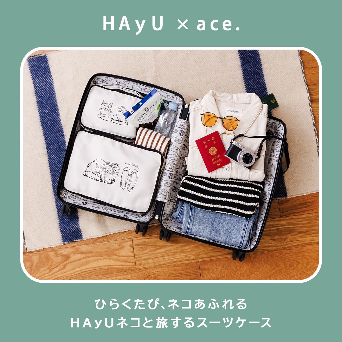 HAyU パキラ