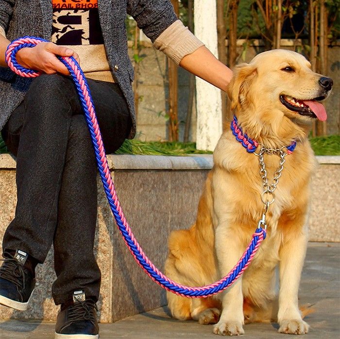 犬 頼り リード 首輪 極太 ペット ドッグ ハーフチョーク チョーカー 編込み 大型犬 中型犬