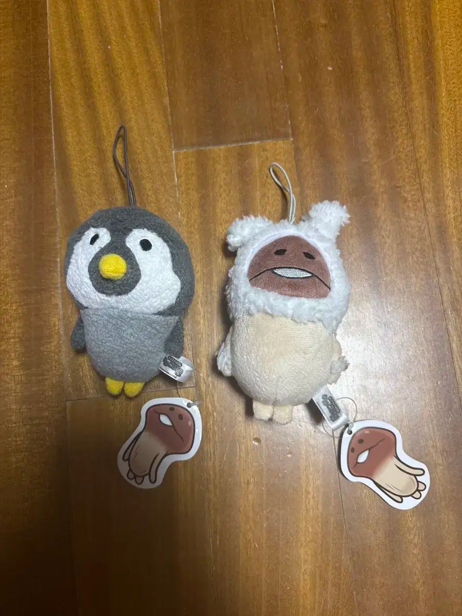 なめこ　まとめ売り なめこ栽培キット まとめ売り - メルカリ