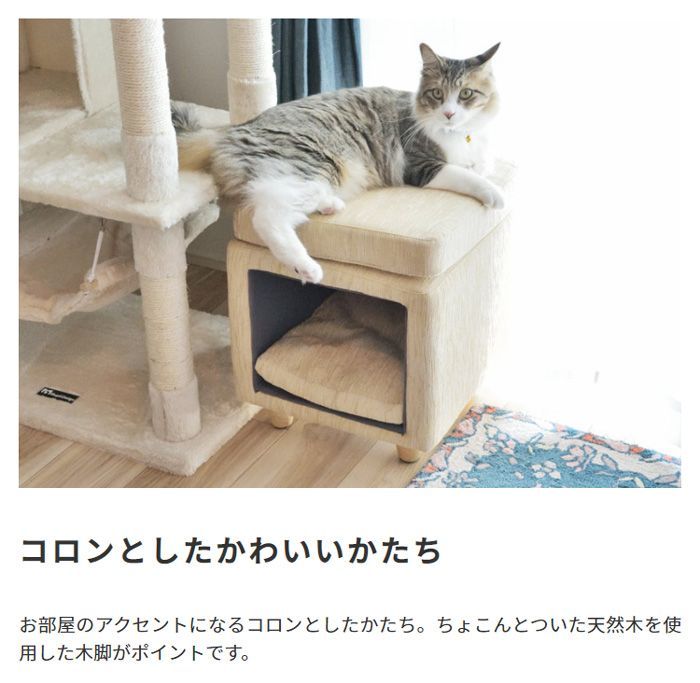 グリーン キャットハウス