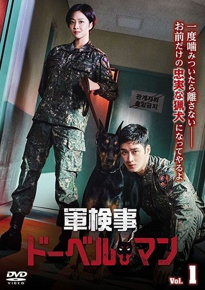 全話全巻セット　軍検事　ドーベルマン　DVD　全16巻　全32話 軍検事ドーベルマン DVD 全16巻 アン・ボヒョン / チョ・ボア
