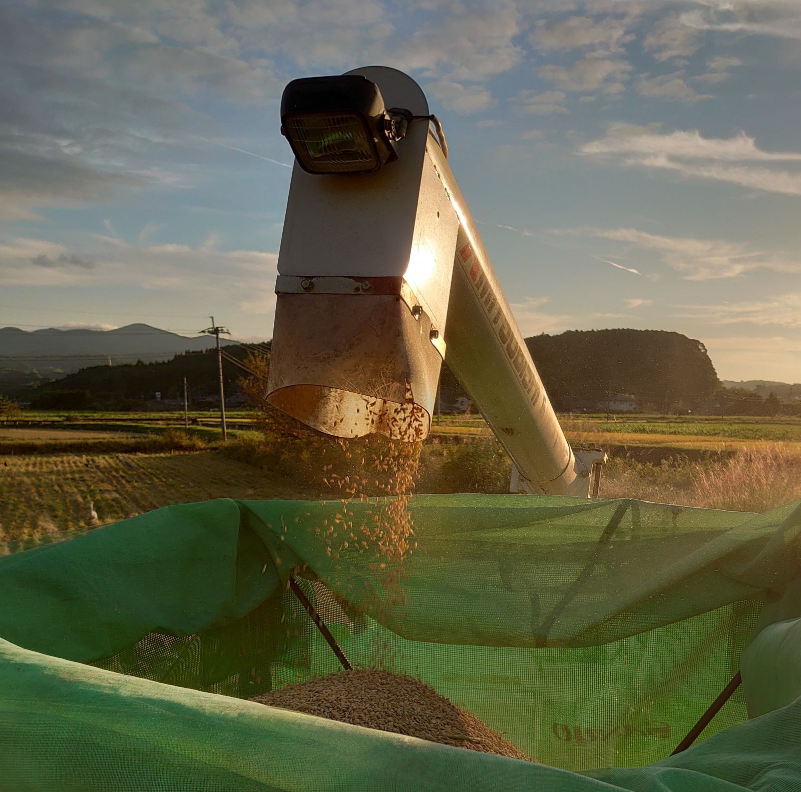 樹梨♡　メルカリ便 ❤️スペシャル価格❤️3143 【Ashwood 】【P zZhEMkhyC4TRLifAWwPMLB.jpg@jpg