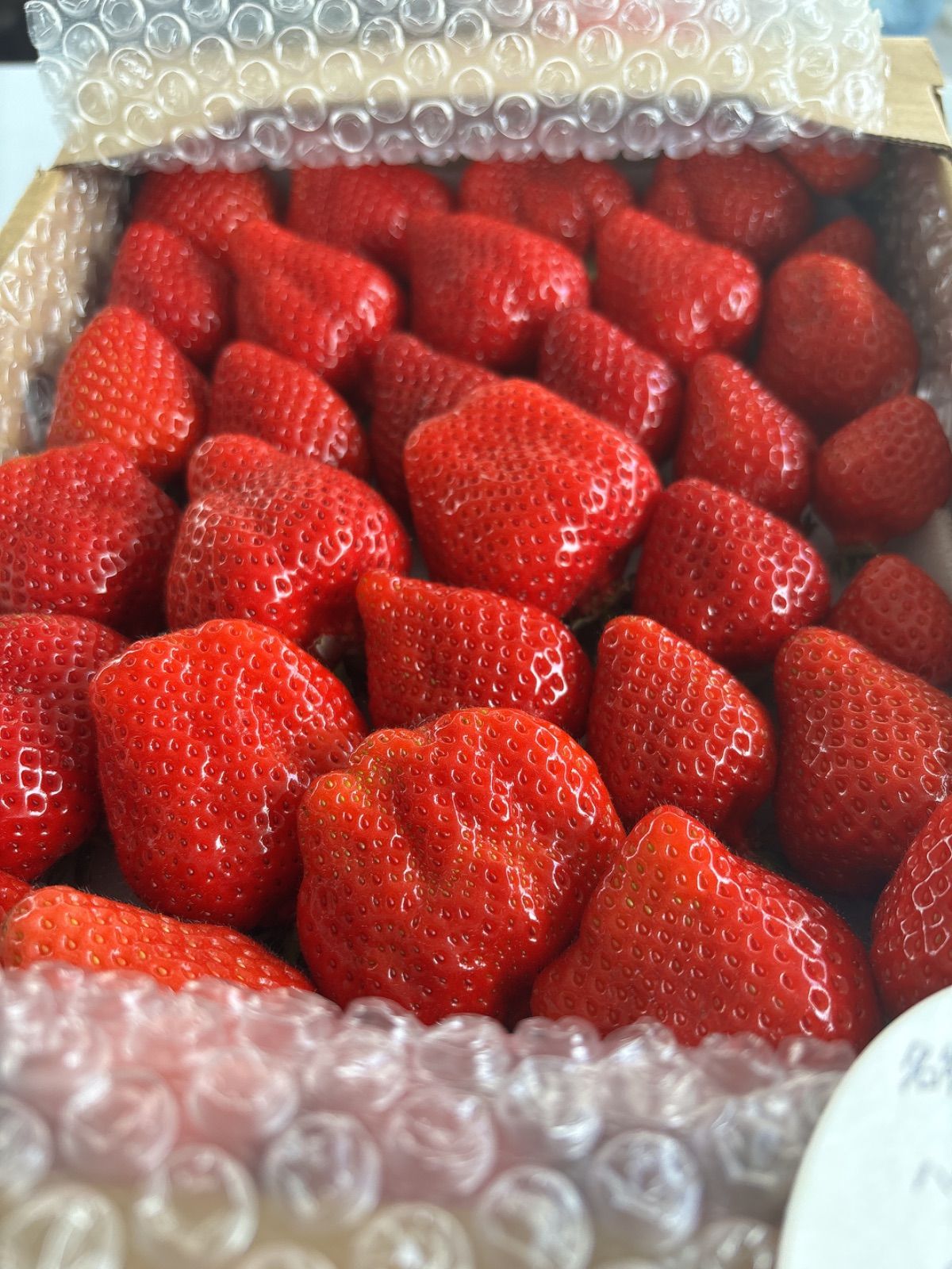 四国·近畿地方送料込み【農家直送・お買得便】とてもやわらか甘