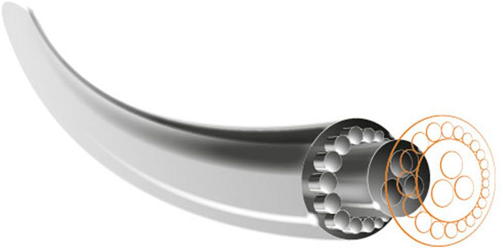 NT