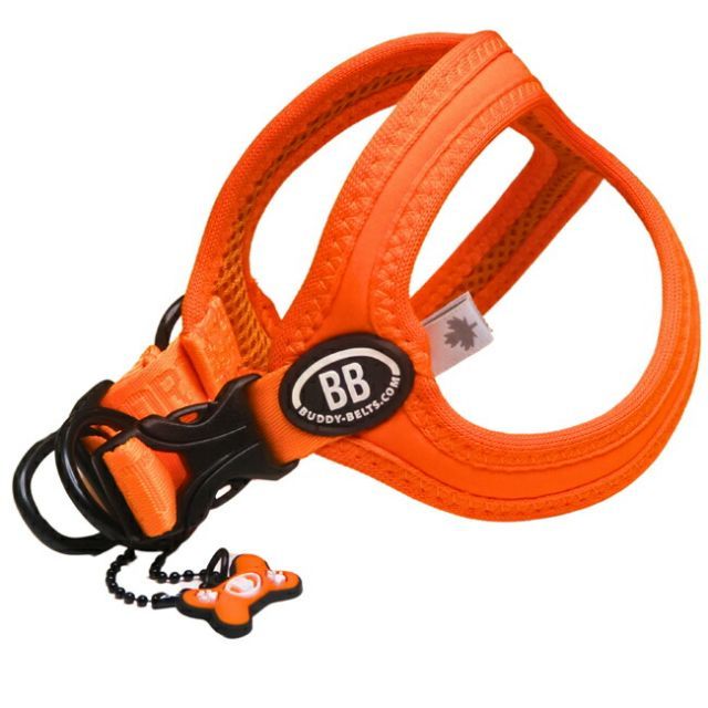 BB Sport