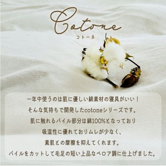 長方形 195×245cm