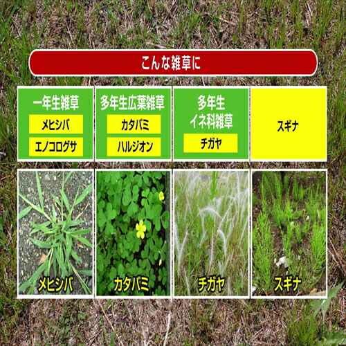 草退治E粒剤 8㎏