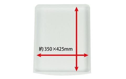 クリアーモモンガ４０ ＷＨ