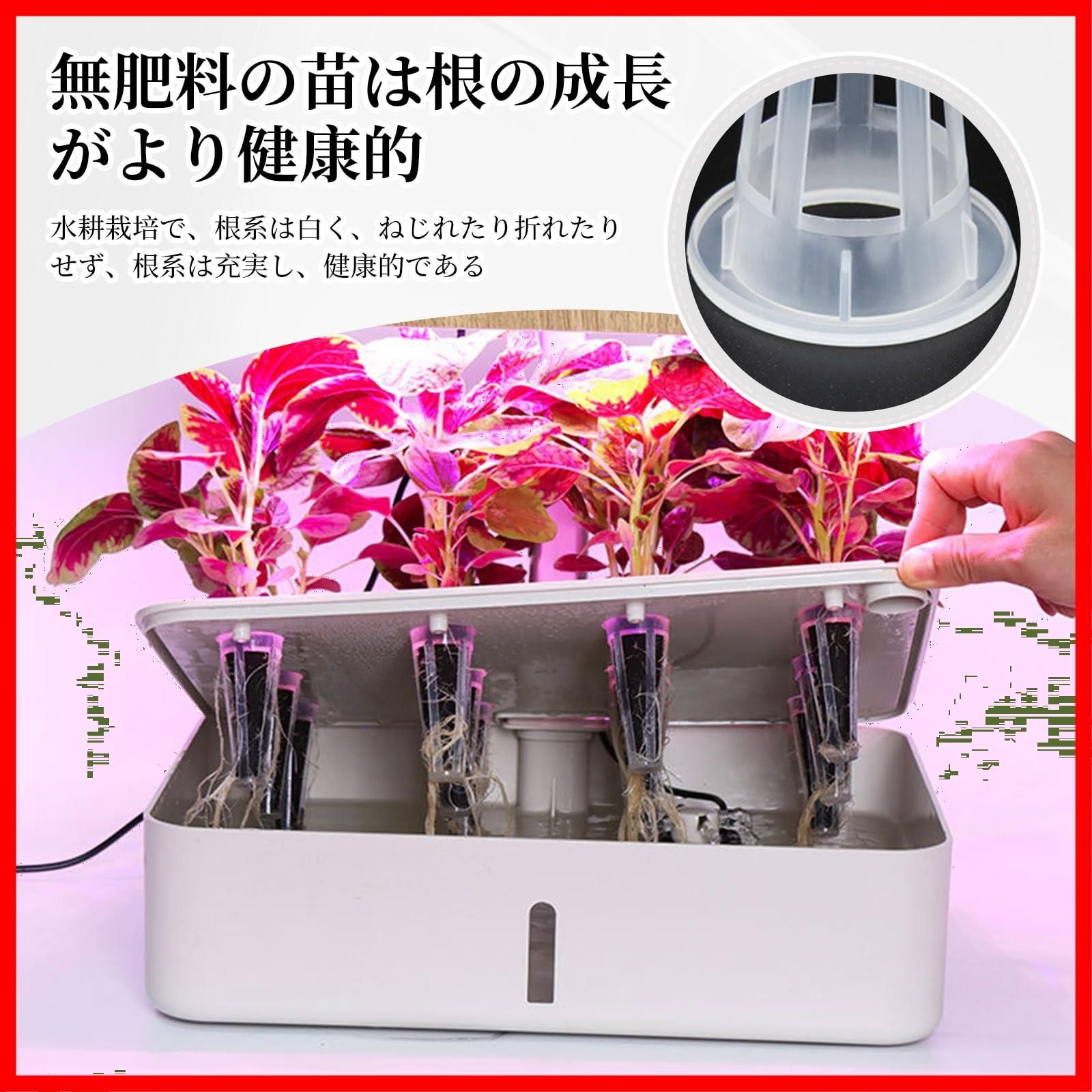 【特価商品】Doyime 水耕栽培鉢【15個】水耕栽培ポット プラスチックメッシュポット ポットすいこう栽培 定植育苗かご 容器育苗ポッ 水栽培かご鉢 定植かご 便利性 通気性 節水 軽量 園芸用品 植物栽培 野菜栽培 有機栽培 庭園苗運搬 苗床 室内 庭園用