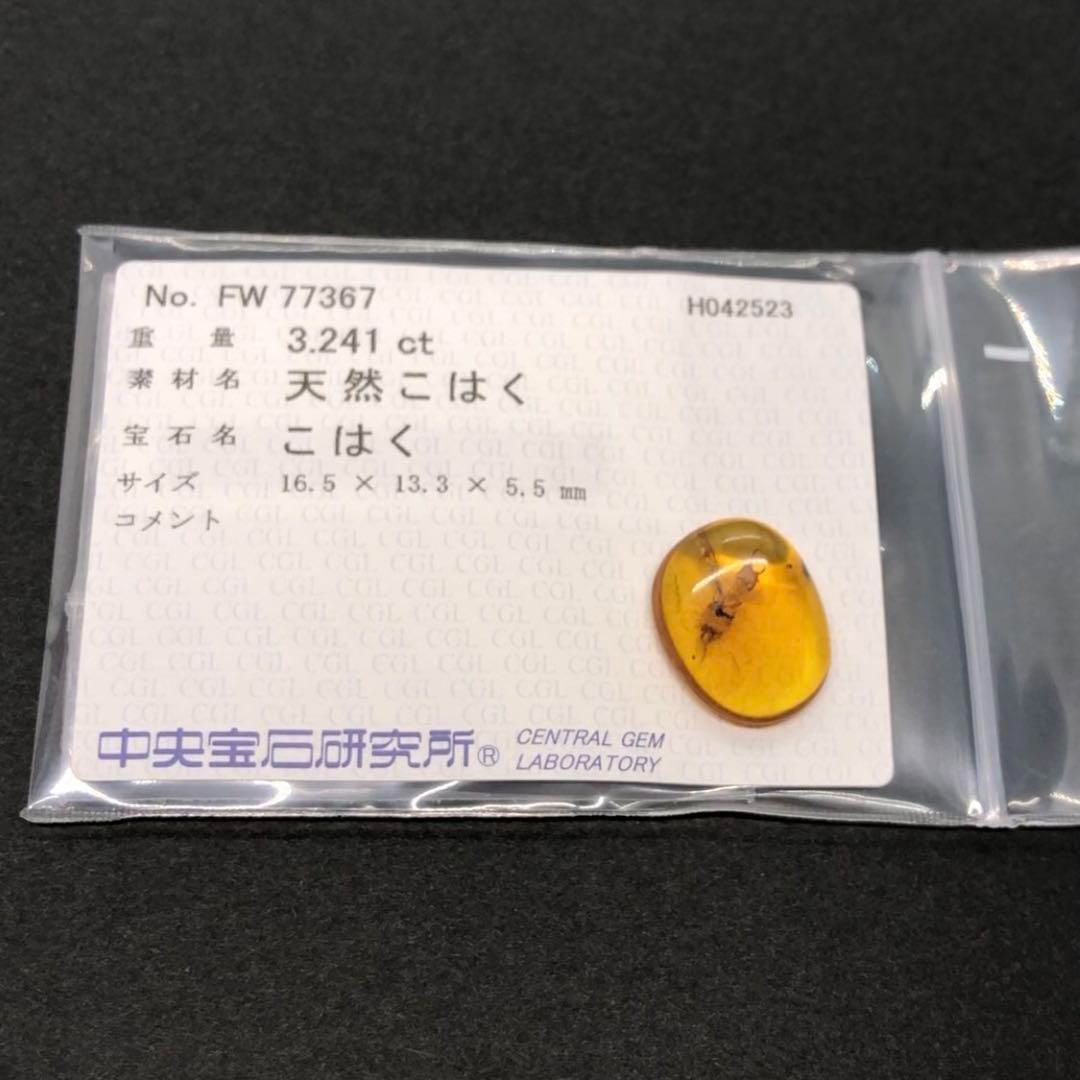 天然 虫入り琥珀 ルース バーマイト アリジゴク レア 中宝ソ付き