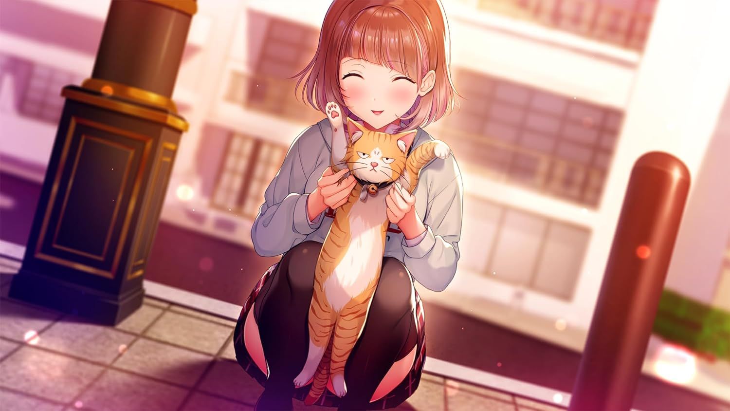 版