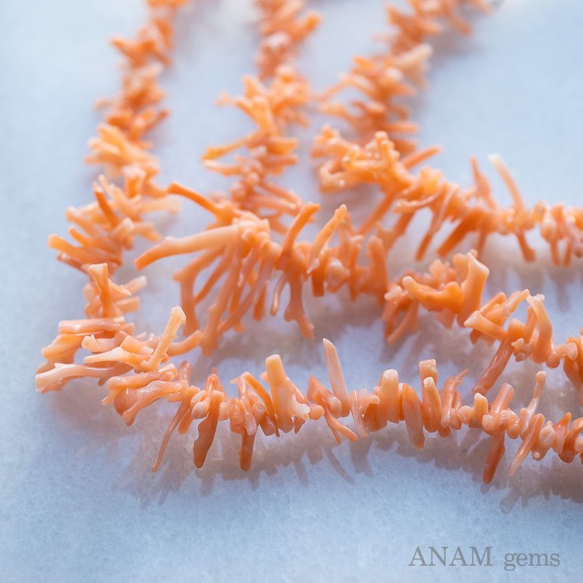 天然大海綿 クリーム色 約15cm 天然大海綿 クリーム色 約15cm