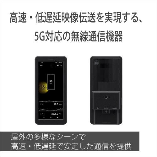 PDT-FP1 納期約１週間