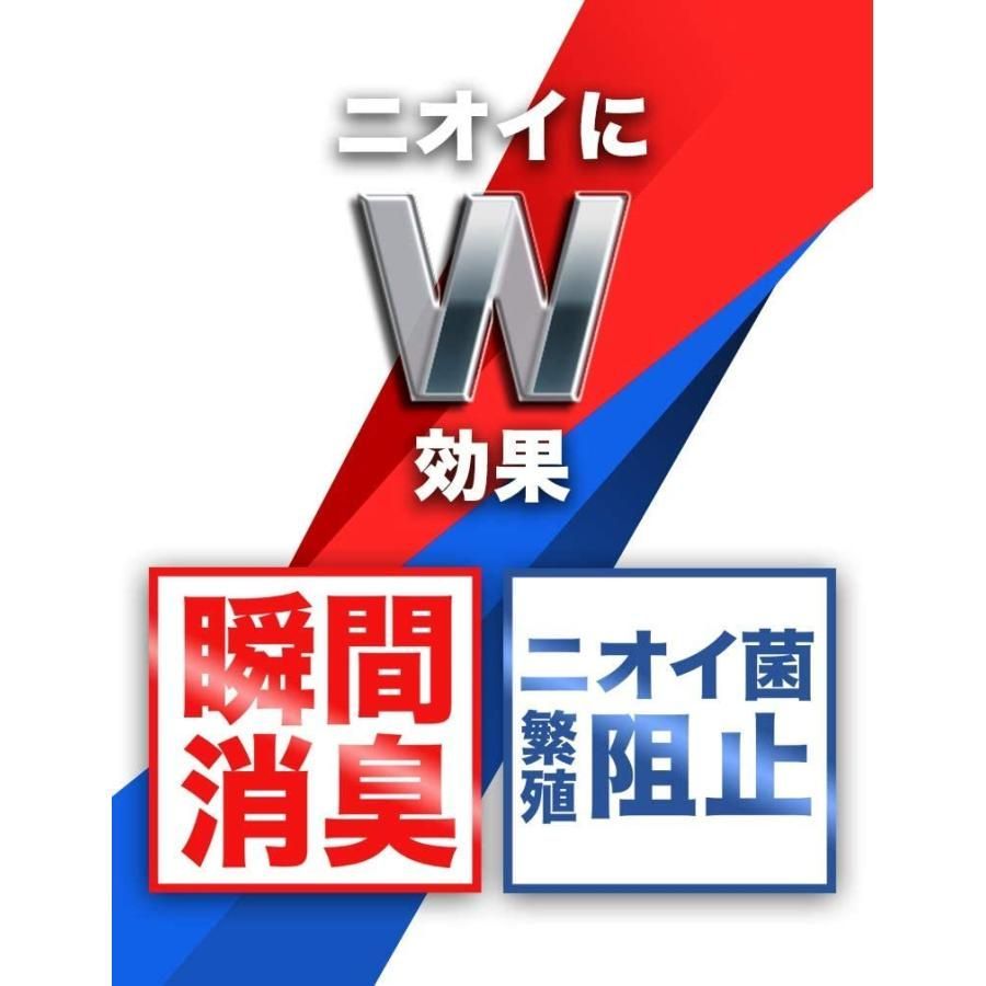 足用 消臭スプレー ドクターショール 靴用消臭 抗菌スプレー 大型サイズ セット 1ケース