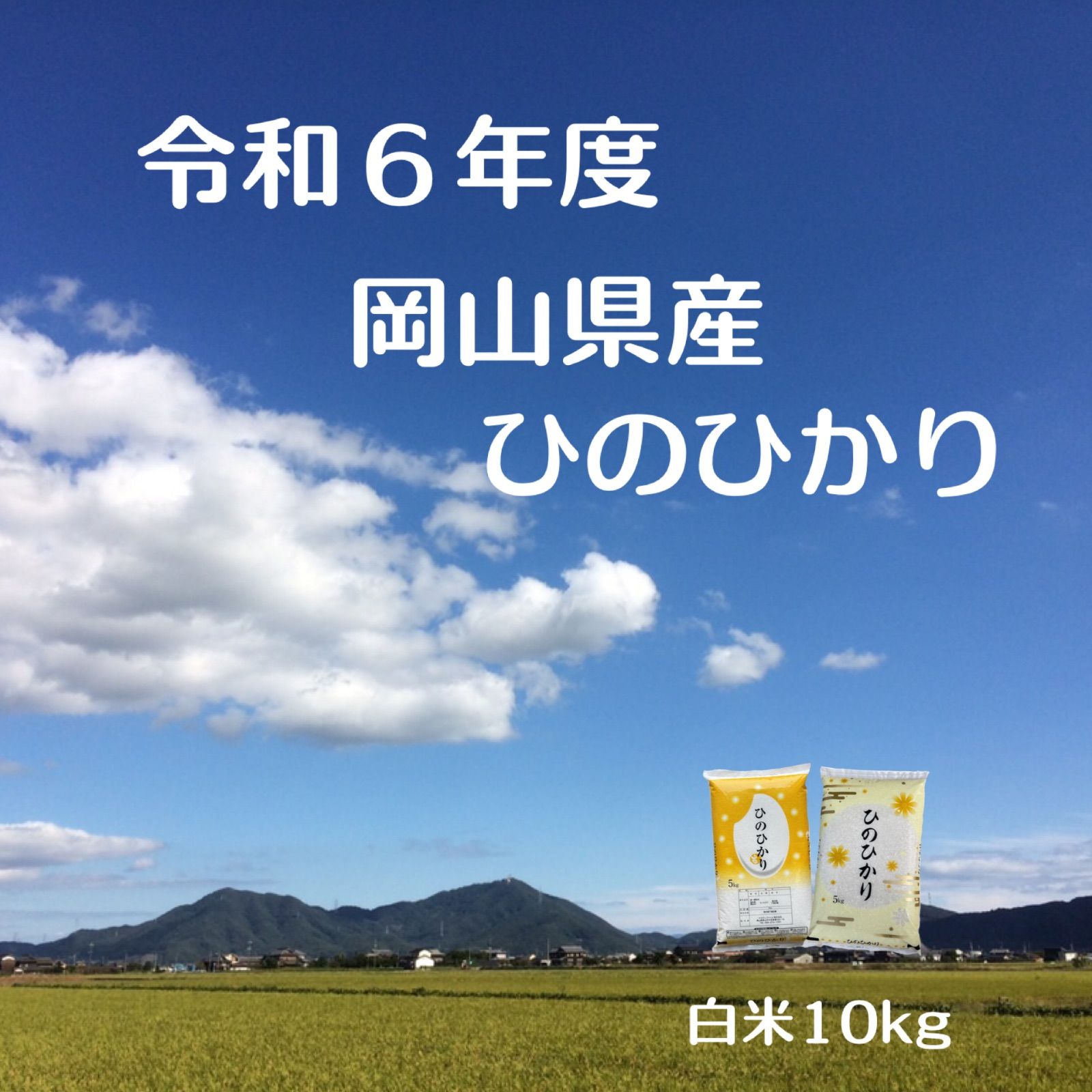 生産者直送 令和６年度 岡山県産 ひのひかり 白米 10キロ