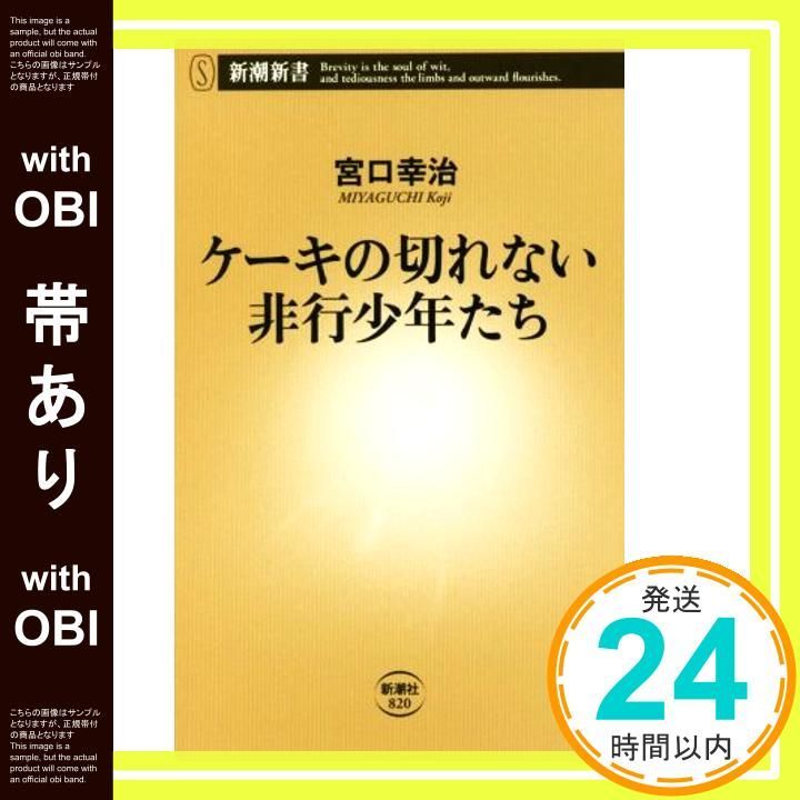 帯あり ケーキの切れない非行少年たち 新潮新書 Jul 12 2019 宮口 幸治_07