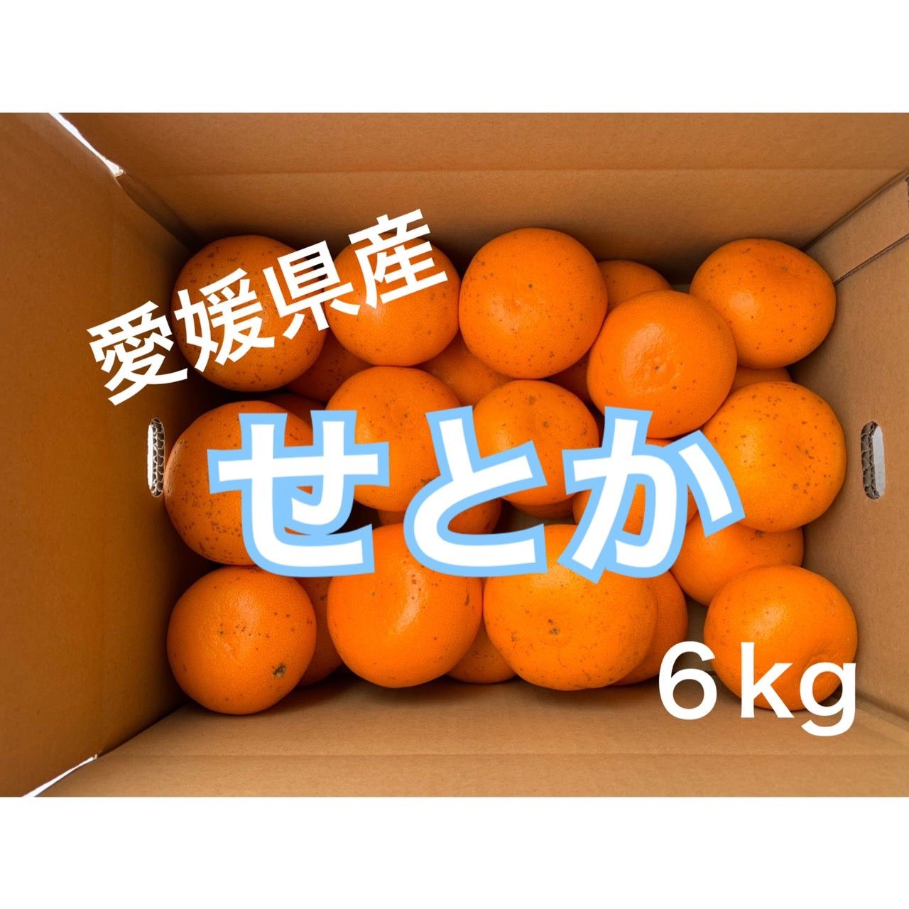 商品追加値下げ在庫復活 愛媛県産せとか6kg×2 eu-agencies.net