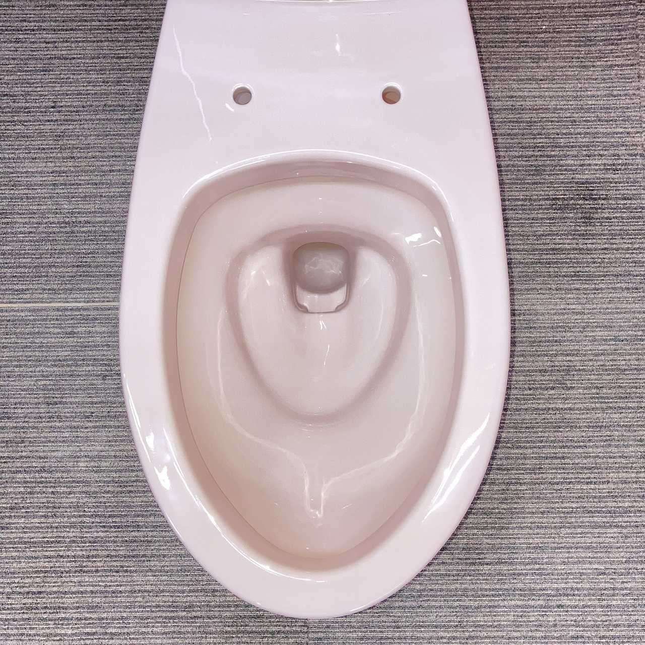 洋式便器 床下排水