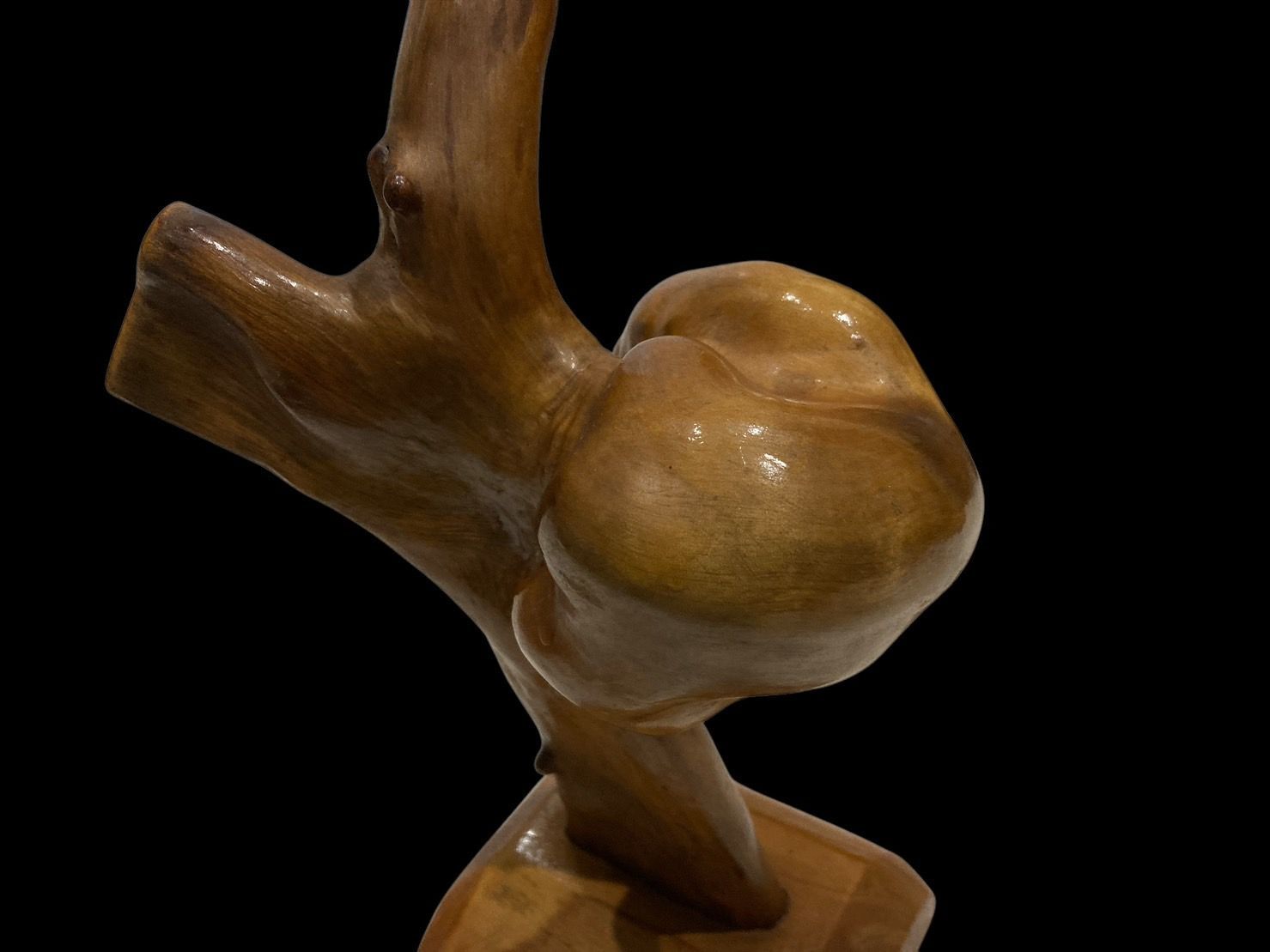 木製 オブジェ 瘤 置物 31×35cm