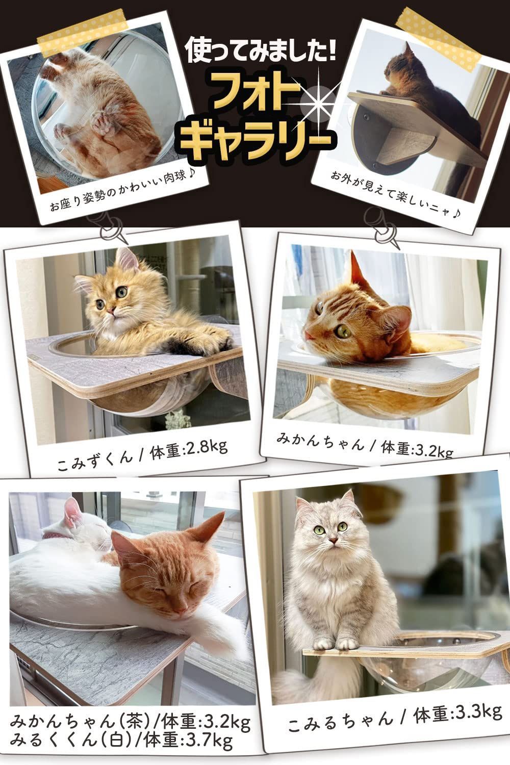 POOKIE 猫 窓 ベッド キャット ステップ 爪とぎ 窓ベッド 猫ベッド キ - 猫